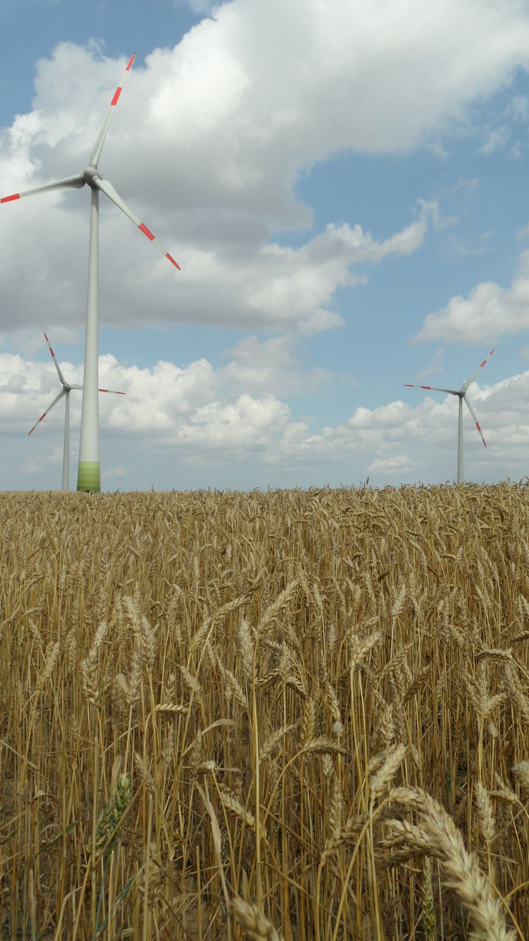 Windpark Gebr. Schröder